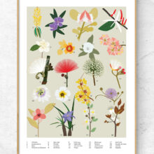 POSTER_CERRADO_FLORES1b