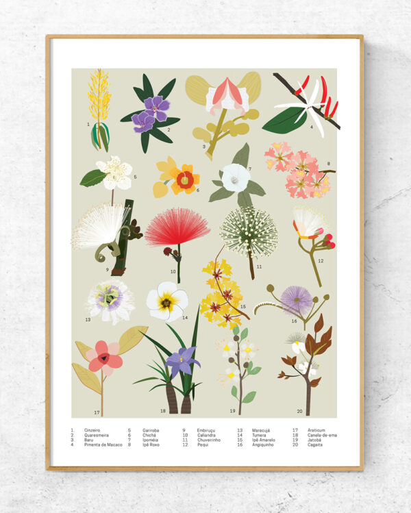 POSTER_CERRADO_FLORES1b