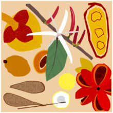 SALADA_FRUTA_1000px