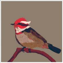 preview_ticoprin